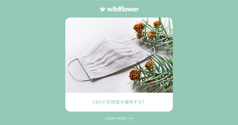 CBDが花粉症を緩和する?