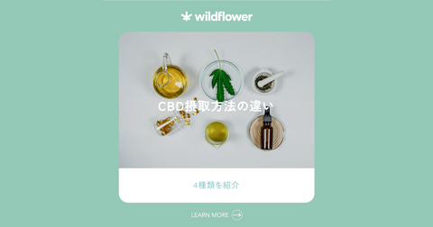 CBD摂取方法の違い 4分類を紹介