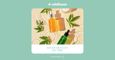 近年注目を集めるCBDとは?改めて解説